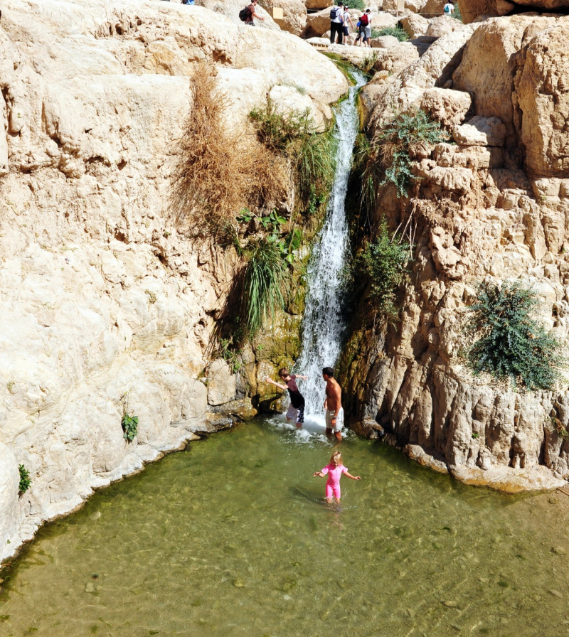 שמורת עין גדי: נחל דוד ונחל ערוגות
